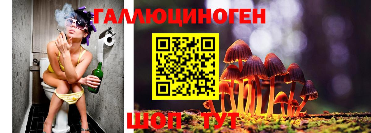 Псилоцибиновые грибы Psilocybe Усть-Лабинск